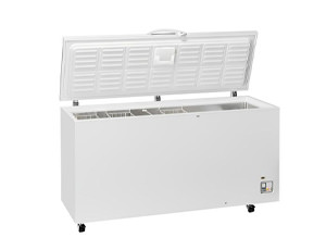 armadi congelatori 600